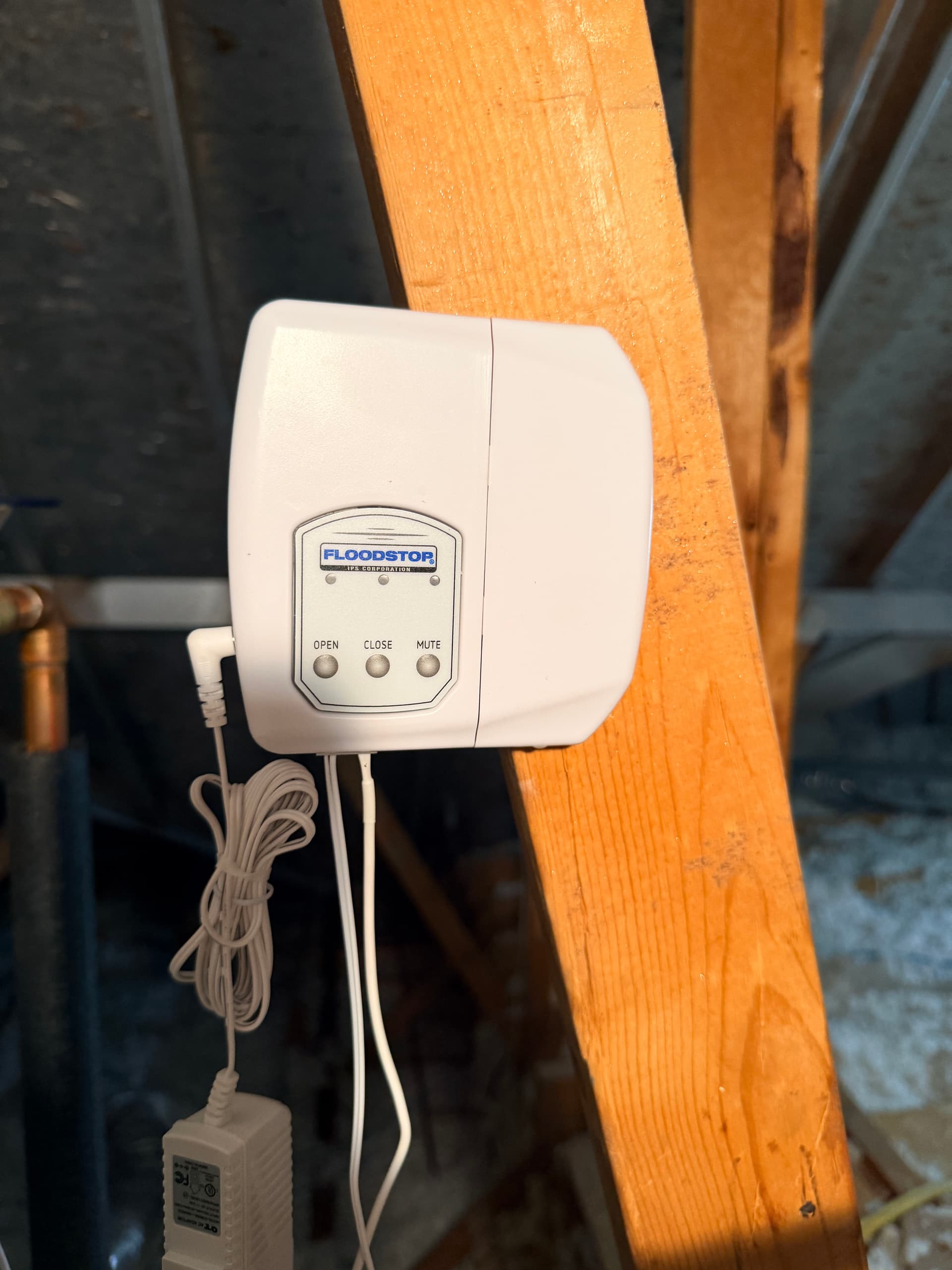 Gallery photos for Bradford White Water Heater Install with Flood Protection: Image #1